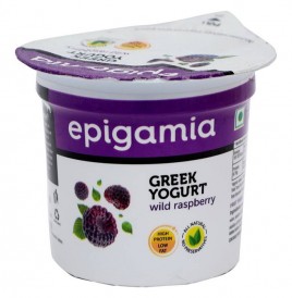 Epigamia Green Yogurt Wild Raspberry  Cup  90 grams